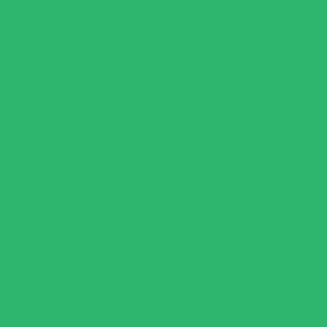 CCMMF 300